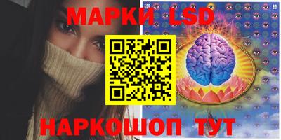 стаф Аргун