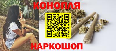 стаф Аргун
