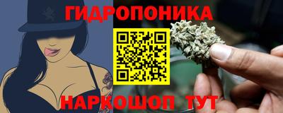 стаф Аргун